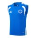 Camiseta de Entrenamiento Cruzeiro Sin Mangas 2025-2026 Azul