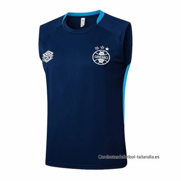 Camiseta de Entrenamiento Gremio Sin Mangas 2025-2026 Azul Camiseta de Entrenamiento Gremio Sin Mangas 2025-2026 Azul