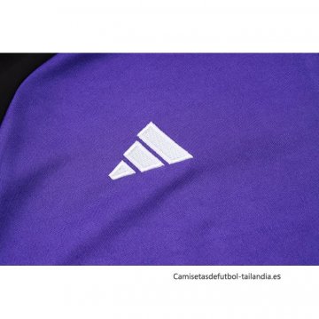 Chandal de Sudadera del Alemania 2024-2025 Purpura