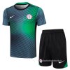 Chandal del Nigeria Manga Corta 2024-2025 Gris Verde - Pantalon Corto