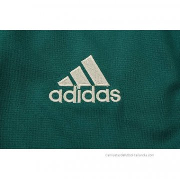Chaqueta del Palmeiras 2022-2023 Verde
