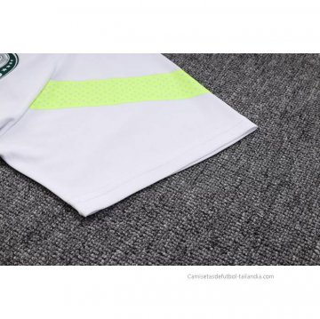 Conjunto Polo del Palmeiras 2023-2024 Gris