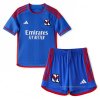 Camiseta Lyon 2ª Nino 2023-2024 Camiseta Lyon 2ª Nino 2023-2024