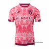 3ª Camiseta Norwich City 2025-2026 3ª Camiseta Norwich City 2025-2026