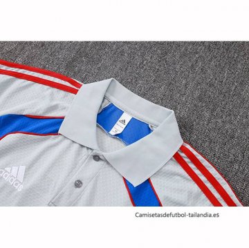 Camiseta Polo del Bayern Munich 2025-2026 Gris