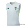 Camiseta de Entrenamiento Al-Ahli Saudi Sin Mangas 2025-2026 Blanco Camiseta de Entrenamiento Al-Ahli Saudi Sin Mangas 2025-2026 Blanco