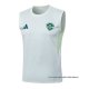 Camiseta de Entrenamiento Al-Ahli Saudi Sin Mangas 2025-2026 Blanco