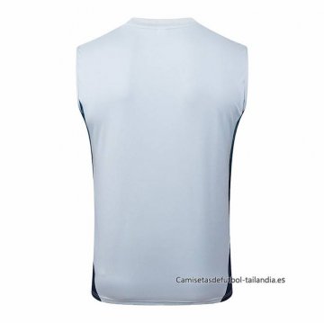 Camiseta de Entrenamiento Arsenal Sin Mangas 2025-2026 Gris