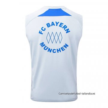 Camiseta de Entrenamiento Bayern Munich Sin Mangas 2025-2026 Gris