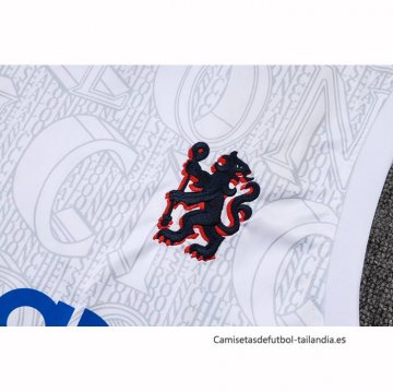 Camiseta de Entrenamiento Chelsea Sin Mangas 2025-2026 Blanco Gris