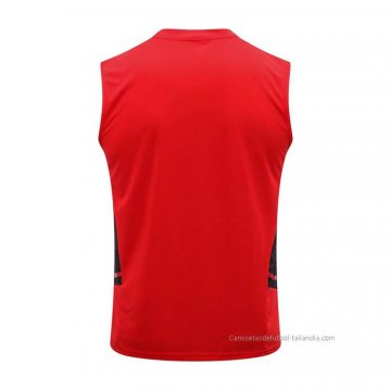 Camiseta de Entrenamiento Flamengo Sin Mangas 2022-2023 Rojo