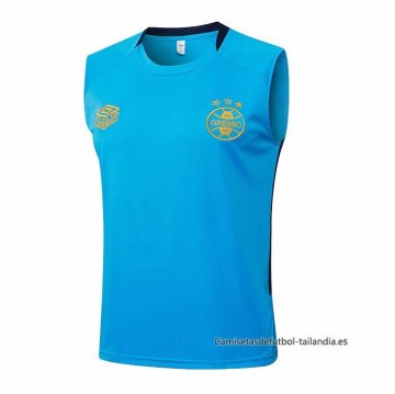 Camiseta de Entrenamiento Gremio Sin Mangas 2025-2026 Azul Camiseta de Entrenamiento Gremio Sin Mangas 2025-2026 Azul