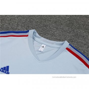 Camiseta de Entrenamiento Lyon 2022-2023 Gris