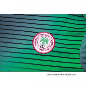 Camiseta de Entrenamiento Nigeria 2024-2025 Gris Verde