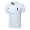 Camiseta de Entrenamiento Tottenham Hotspur 2024-2025 Gris