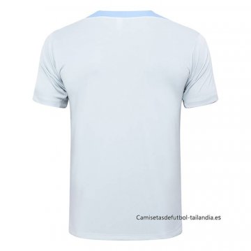 Camiseta de Entrenamiento Tottenham Hotspur 2024-2025 Gris