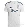 2ª Camiseta Ajax 2023-2024