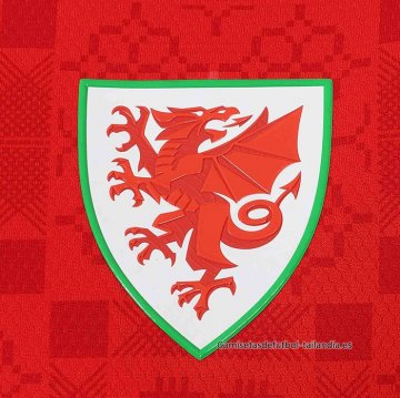 1ª Camiseta Gales 2026-2027