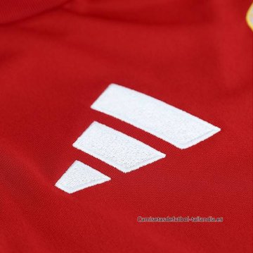 1ª Camiseta Hungria 2026