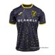 2ª Camiseta Norwich City 2024-2025