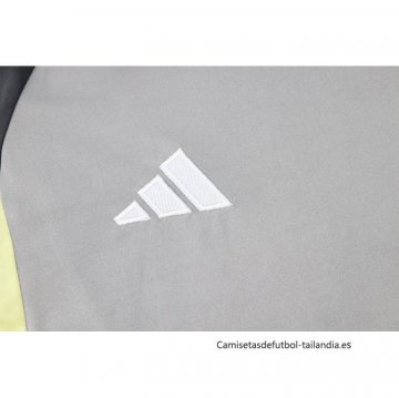 Camiseta de Entrenamiento Atletico Mineiro 2024-2025 Gris