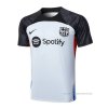 Camiseta de Entrenamiento Barcelona 2023-2024 Gris Camiseta de Entrenamiento Barcelona 2023-2024 Gris