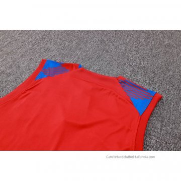 Camiseta de Entrenamiento Barcelona Sin Mangas 2023-2024 Rojo