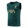Camiseta de Entrenamiento Liverpool Sin Mangas 2022-2023 Verde Camiseta de Entrenamiento Liverpool Sin Mangas 2022-2023 Verde