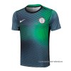 Camiseta de Entrenamiento Nigeria 2024-2025 Gris Verde Camiseta de Entrenamiento Nigeria 2024-2025 Gris Verde