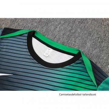 Camiseta de Entrenamiento Nigeria 2024-2025 Gris Verde