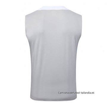 Camiseta de Entrenamiento Tottenham Hotspur Sin Mangas 2025-2026 Gris