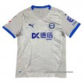 Tailandia Camiseta Avai Portero 2024 Gris