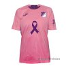 Tailandia 1ª Camiseta Hoffenheim 2025-2026 Rosa Tailandia 1ª Camiseta Hoffenheim 2025-2026 Rosa