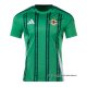 1ª Camiseta Irlanda del Norte 2024