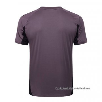 Camiseta de Entrenamiento Arsenal 2024-2025 Gris Purpura