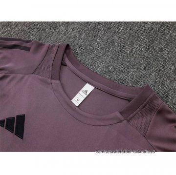 Camiseta de Entrenamiento Arsenal 2024-2025 Gris Purpura