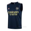 Camiseta de Entrenamiento Arsenal Sin Mangas 2021-2022 Azul Camiseta de Entrenamiento Arsenal Sin Mangas 2021-2022 Azul