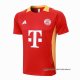 Camiseta de Entrenamiento Bayern Munich 2024-2025 Rojo