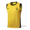 Camiseta de Entrenamiento Borussia Dortmund Sin Mangas 2025-2026 Amarillo Camiseta de Entrenamiento Borussia Dortmund Sin Mangas 2025-2026 Amarillo
