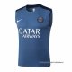 Camiseta de Entrenamiento Paris Saint-Germain Sin Mangas 2025-2026 Gris