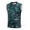 Camiseta de Entrenamiento Real Madrid Sin Mangas 2023-2024 Verde
