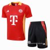 Chandal del Bayern Munich Manga Corta 2024-2025 Rojo - Pantalon Corto Chandal del Bayern Munich Manga Corta 2024-2025 Rojo - Pantalon Corto
