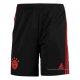 3ª Pantalones Bayern Munich 2022-2023