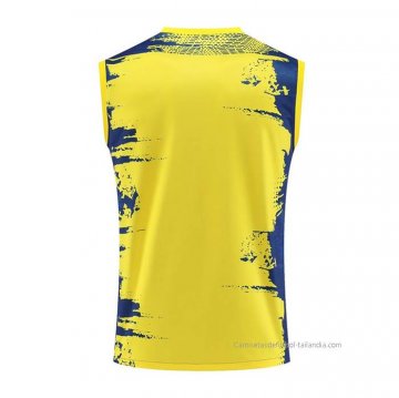 Camiseta de Entrenamiento Barcelona Sin Mangas 2023-2024 Amarillo y Azul