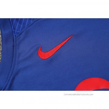 Camiseta de Entrenamiento Barcelona Sin Mangas 2023-2024 Azul