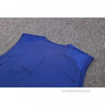 Camiseta de Entrenamiento Barcelona Sin Mangas 2023-2024 Azul
