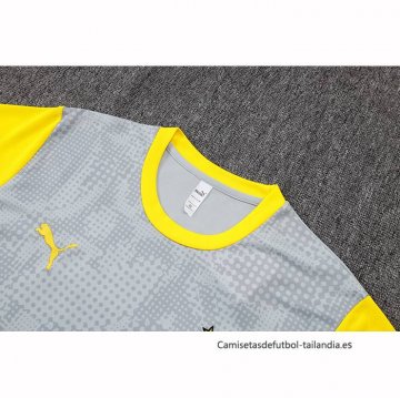 Camiseta de Entrenamiento Borussia Dortmund 2025-2026 Gris