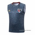 Camiseta de Entrenamiento Sao Paulo Sin Mangas 2025-2026 Gris