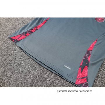 Chandal de Sudadera del Alemania 2024-2025 Gris