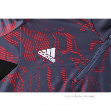 Chandal de Sudadera del Bayern Munich 2022-2023 Rojo y Gris